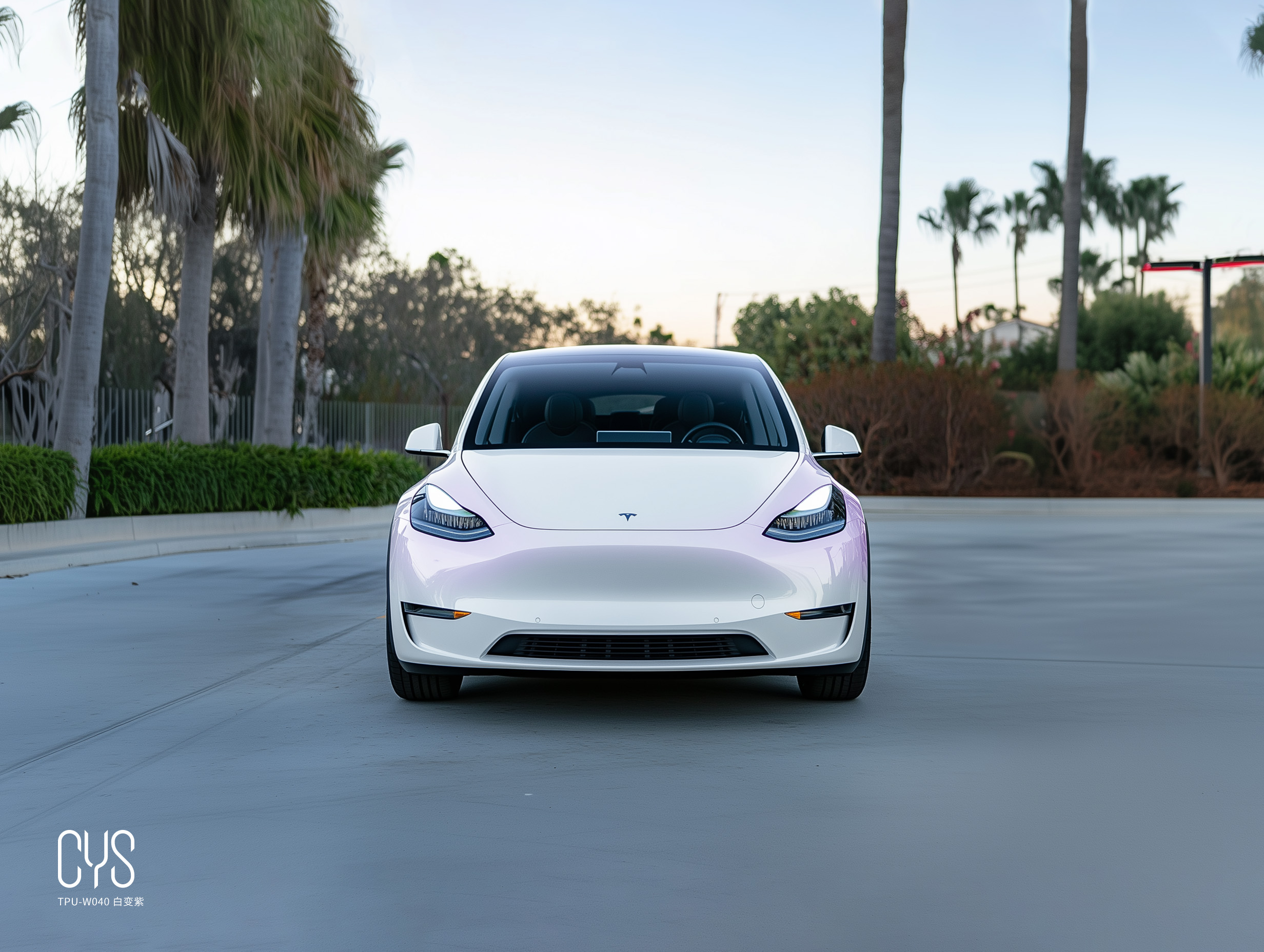 TPU-W040 百变紫|特斯拉 model y