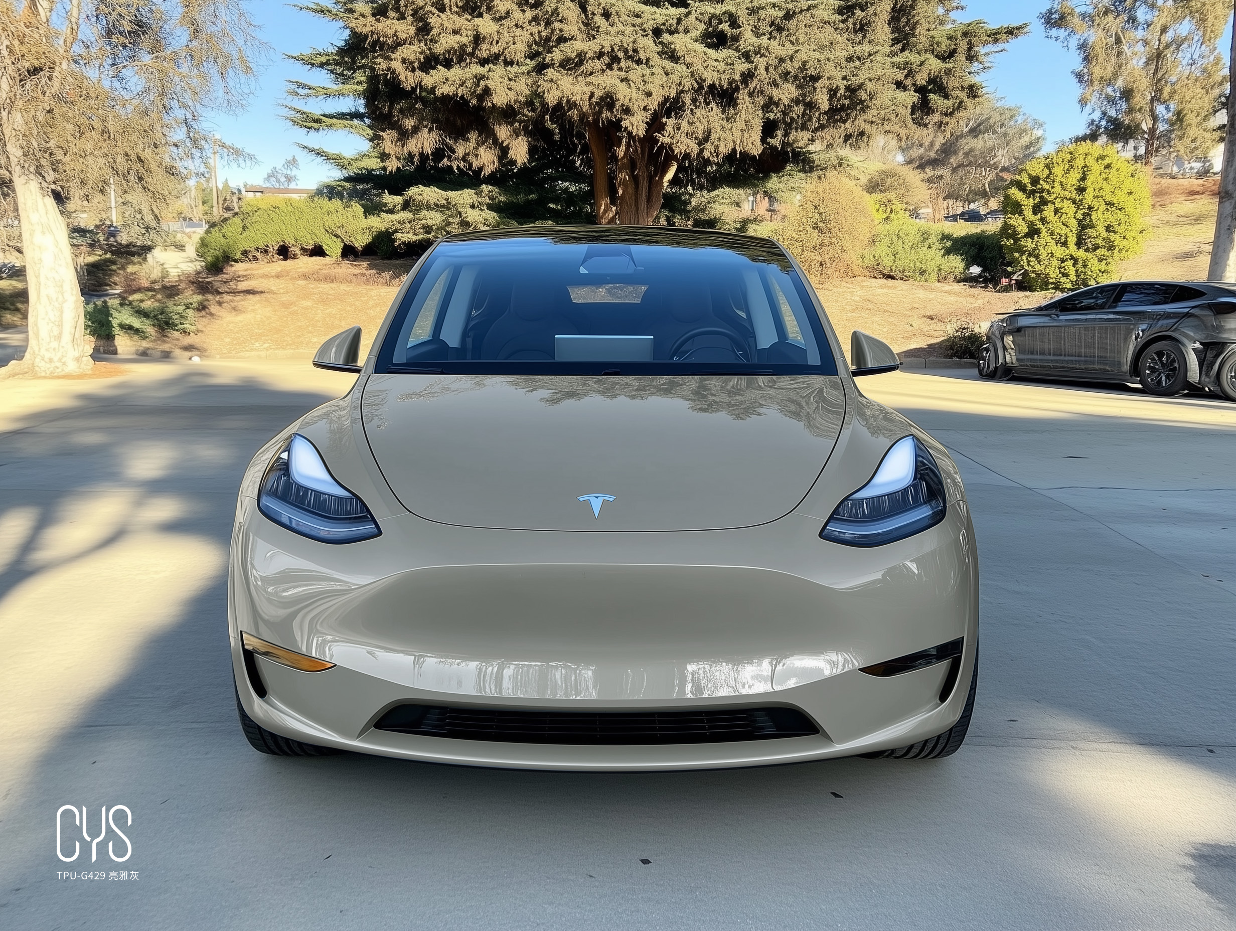 TPU-G429 亮雅灰|特斯拉Model  y
