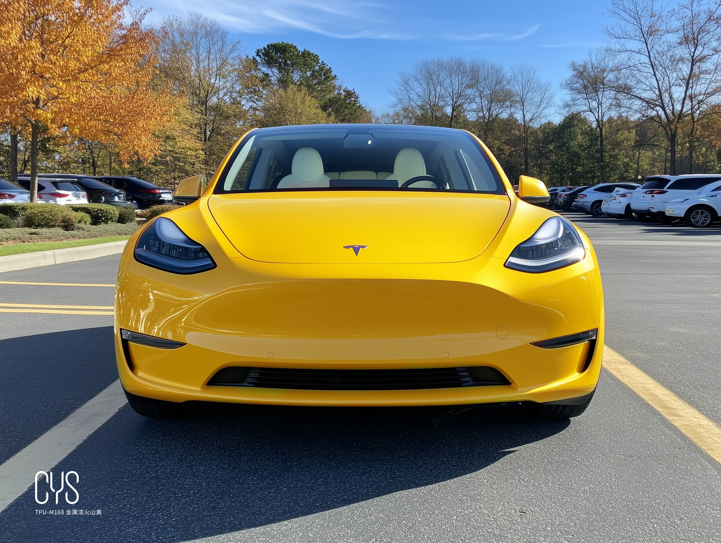TPU-M168 金属漆火山黄|特斯拉Model y