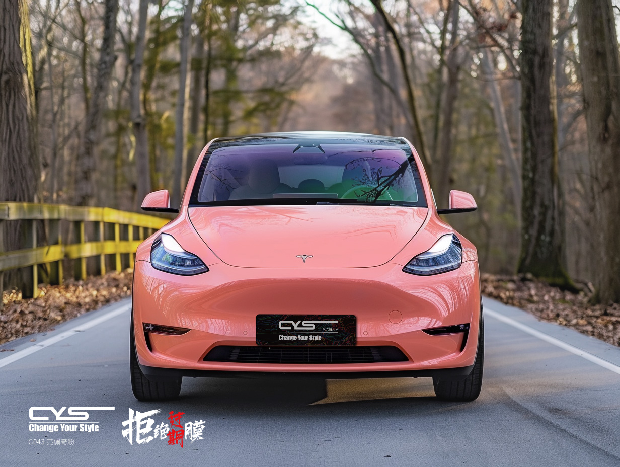 G043 亮佩奇粉|特斯拉 model y