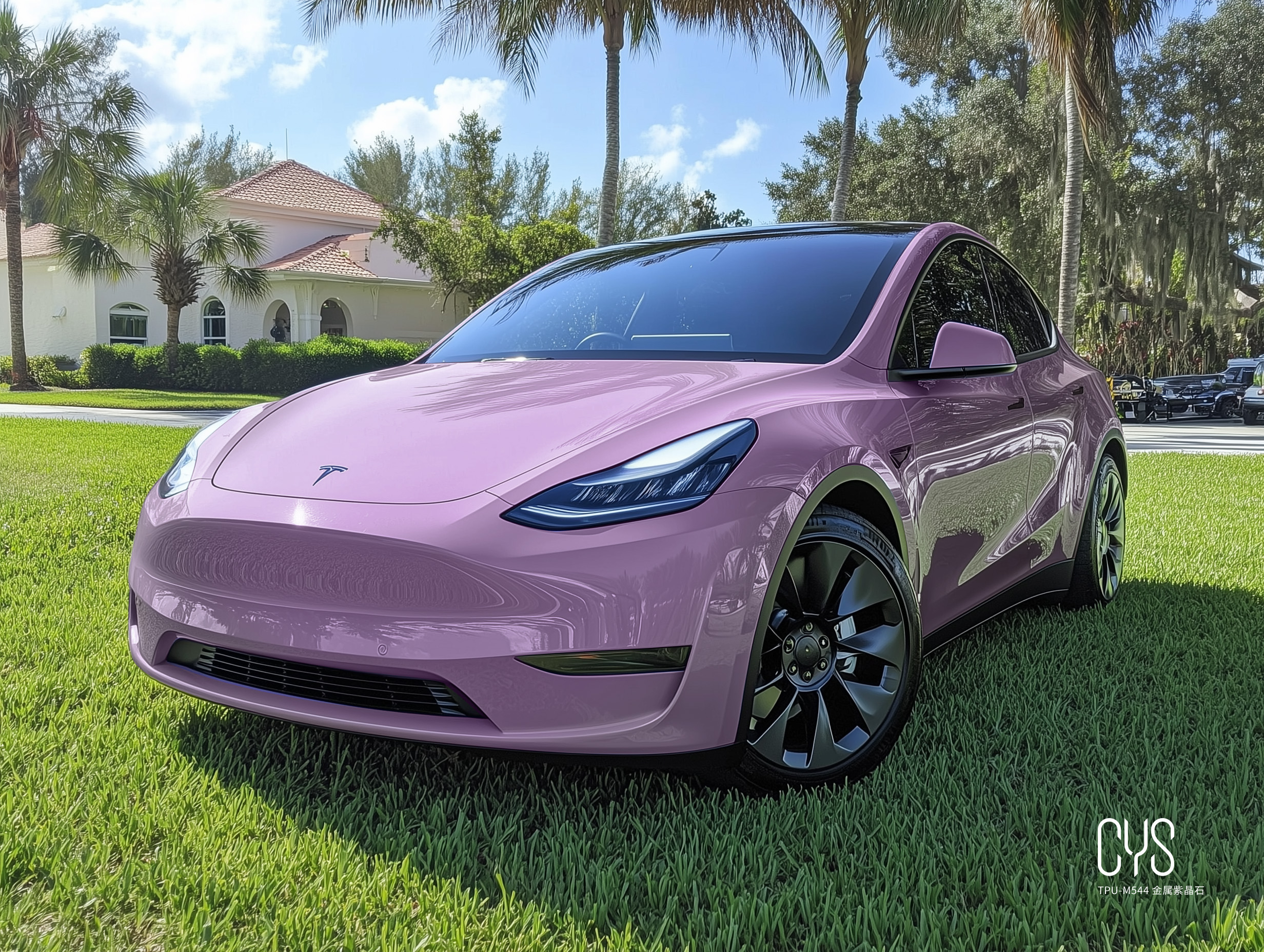 TPU-M544 金属紫晶石|特斯拉model y