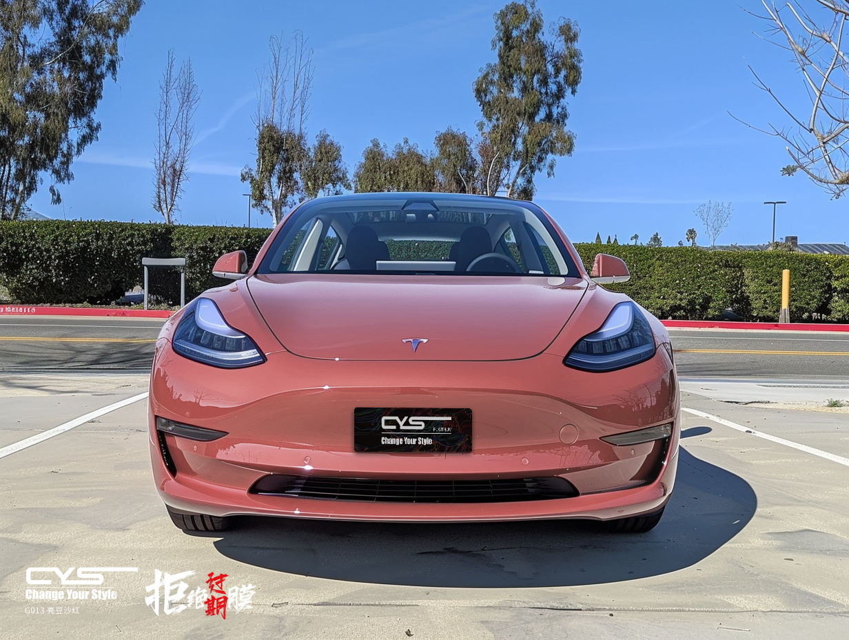 G013 亮豆沙红|特斯拉Model 3