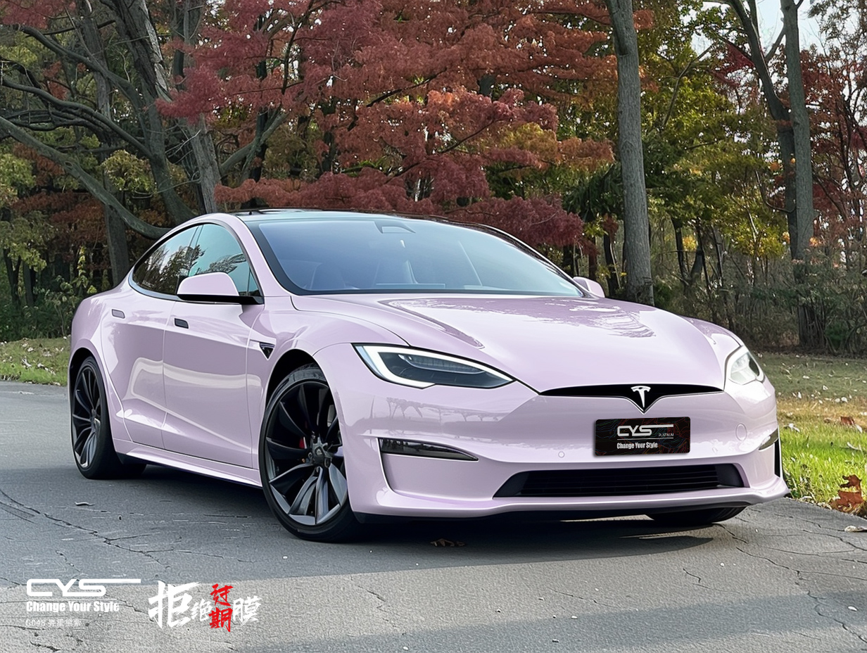 G048 亮星黛紫|特斯拉Model S