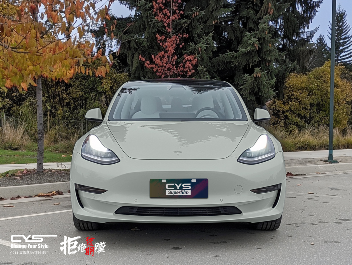 G211 亮海豚灰(保时捷）|特斯拉Model 3