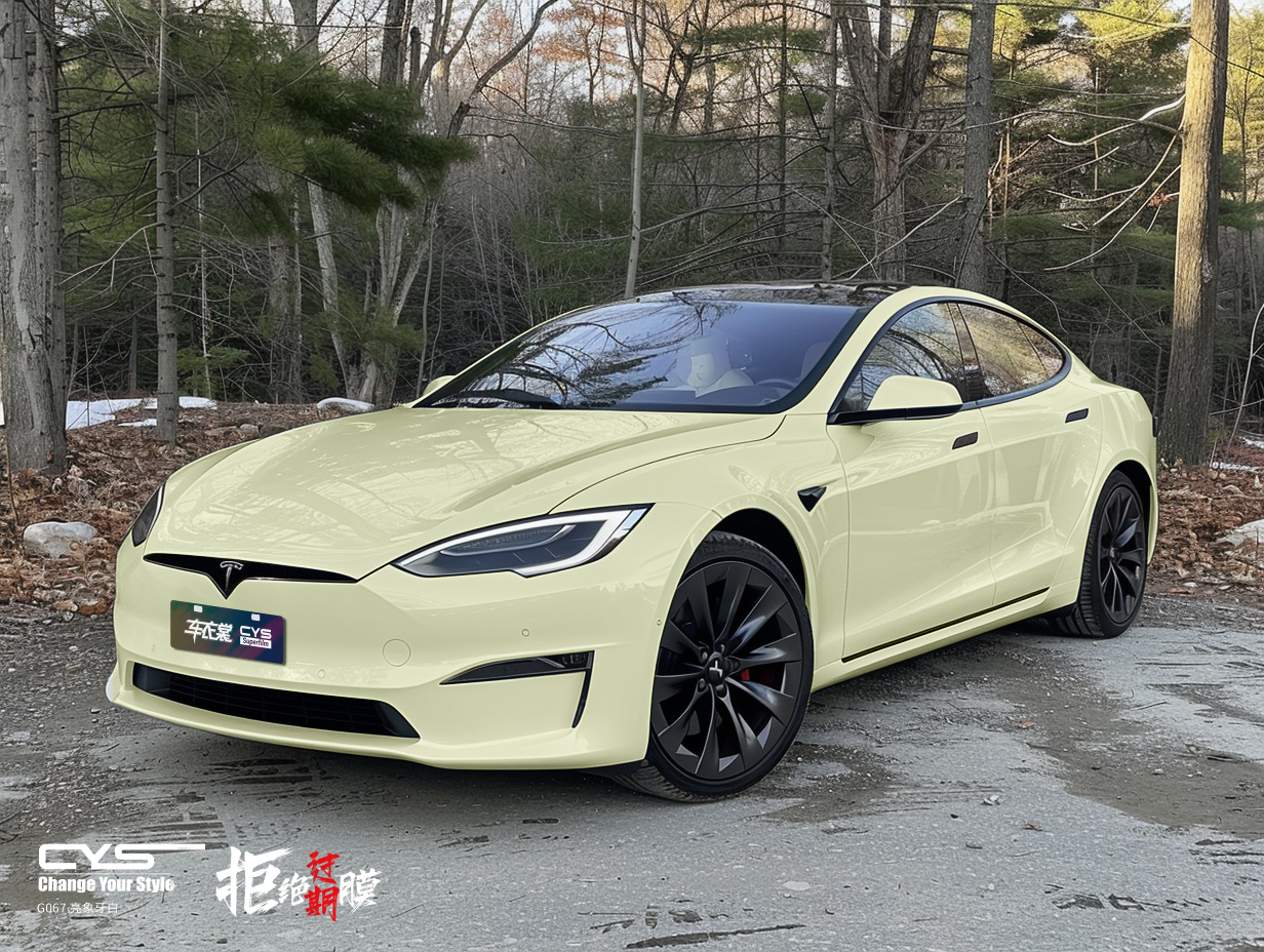 G067 亮象牙白|特斯拉Model S