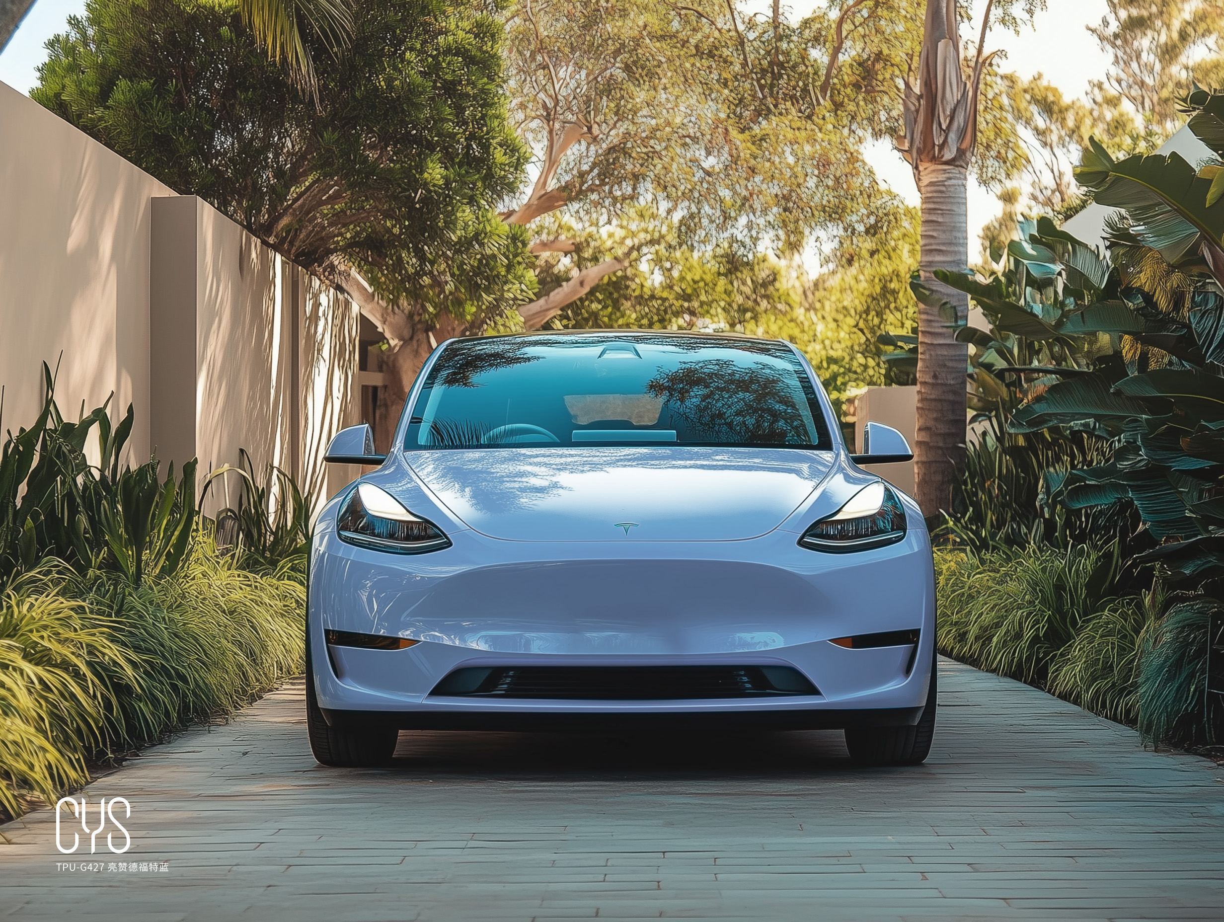 TPU-G427 亮赞德福特蓝|特斯拉model y