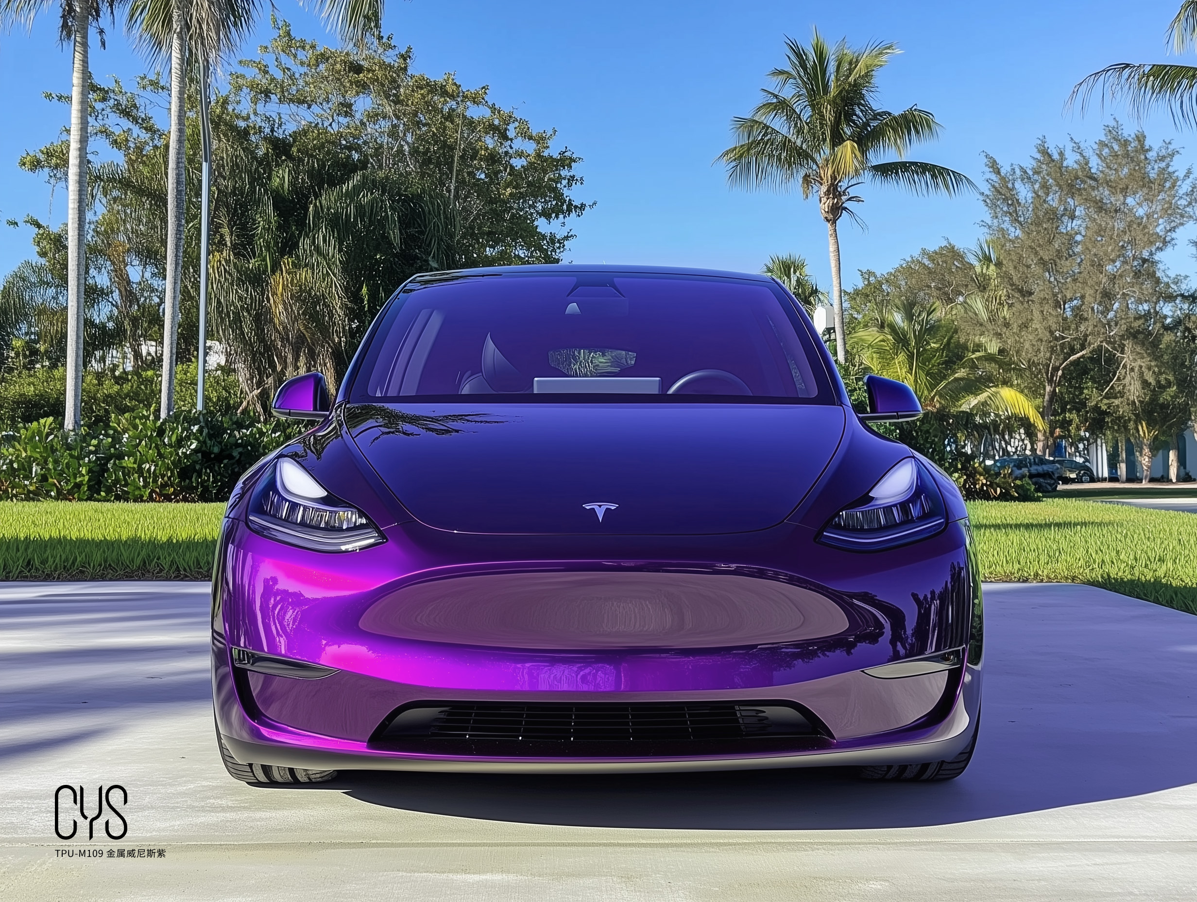 TPU-M109 金属威尼斯紫|特斯拉model y