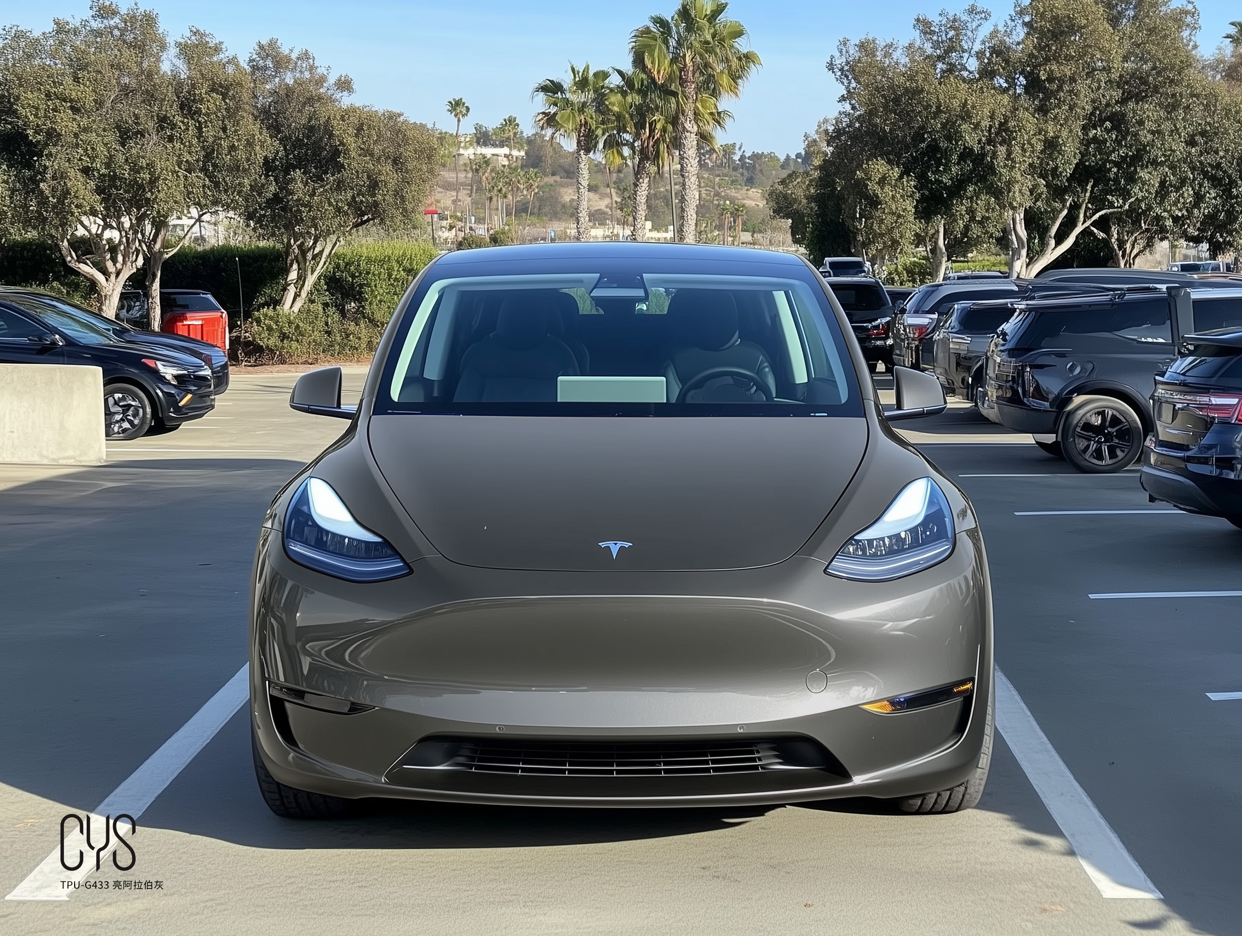 TPU-G433 亮阿拉伯灰|特斯拉Model y