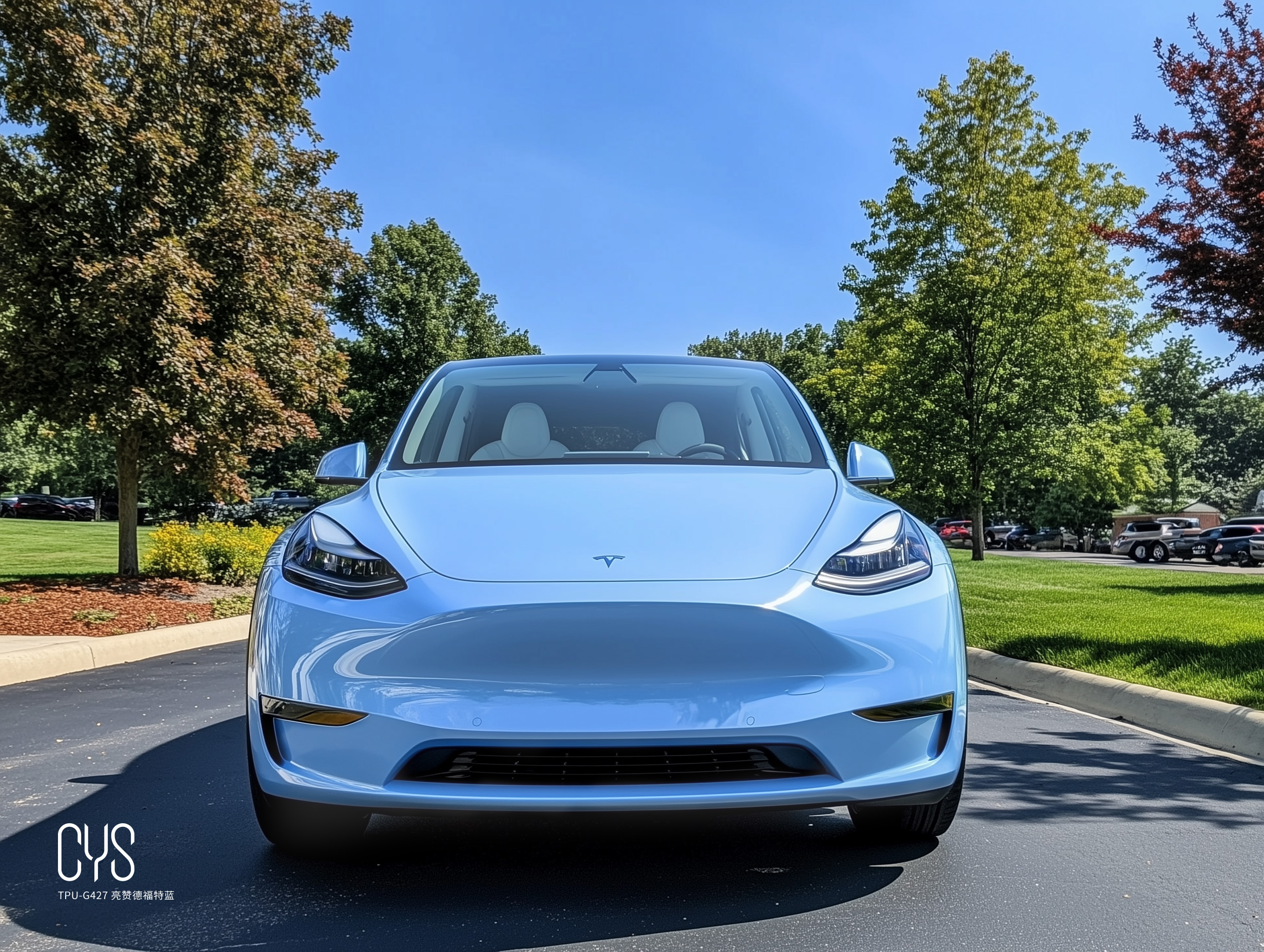 TPU-G427 亮赞德福特蓝|特斯拉 model y