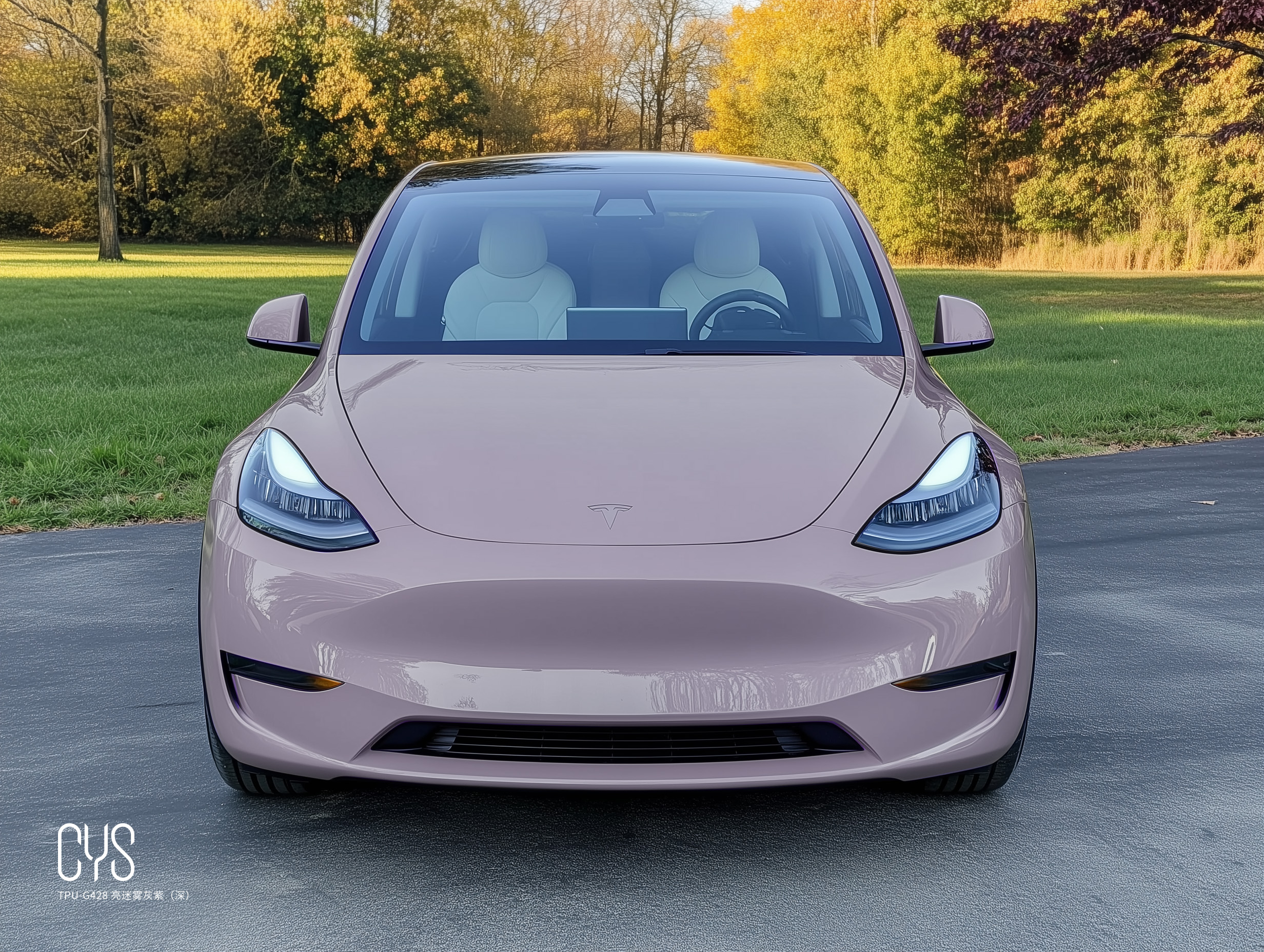 TPU-G428 亮迷雾灰紫（深）|特斯拉 Model y