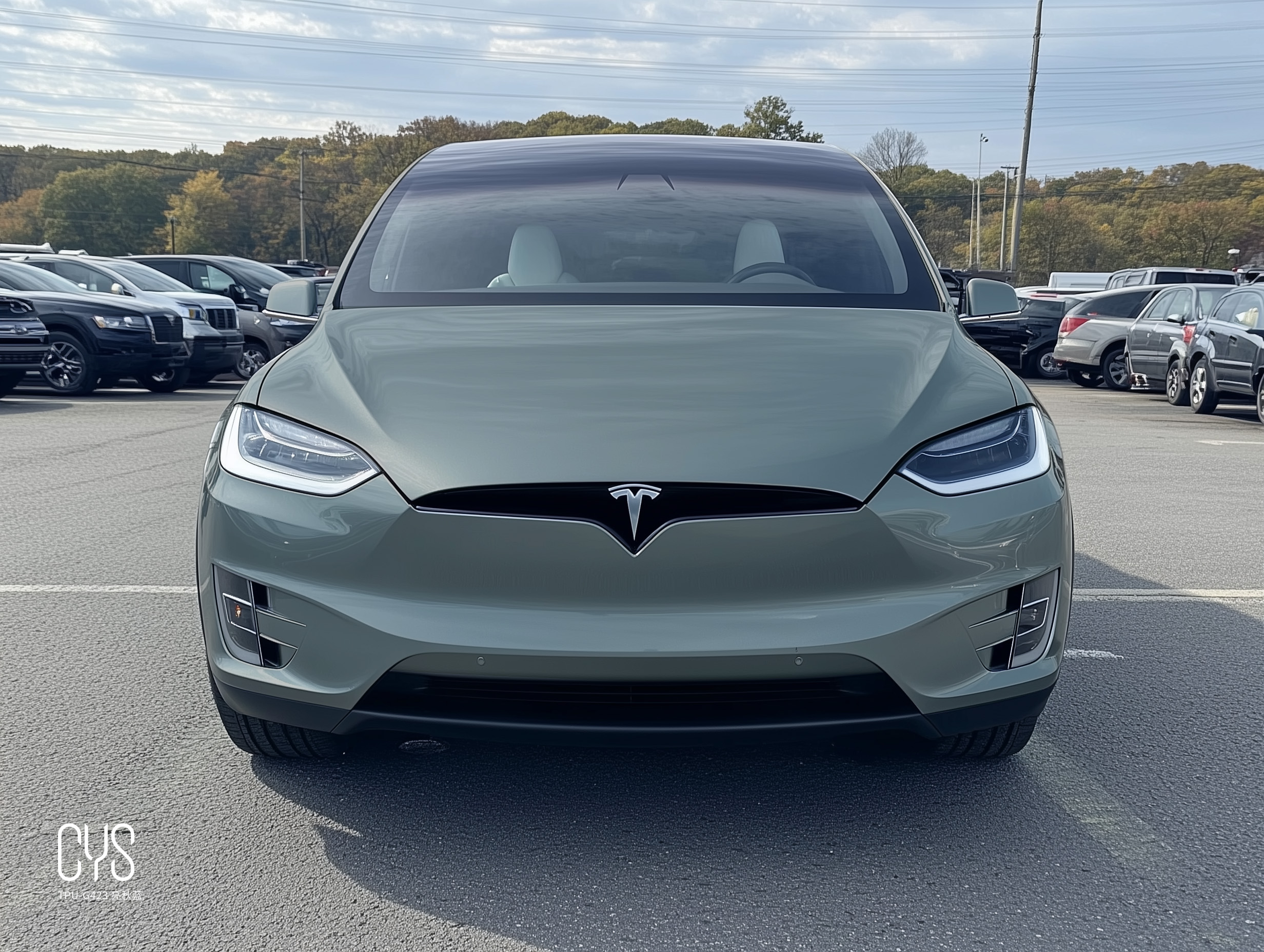 TPU-G423 亮秋蓝|特斯拉Model x