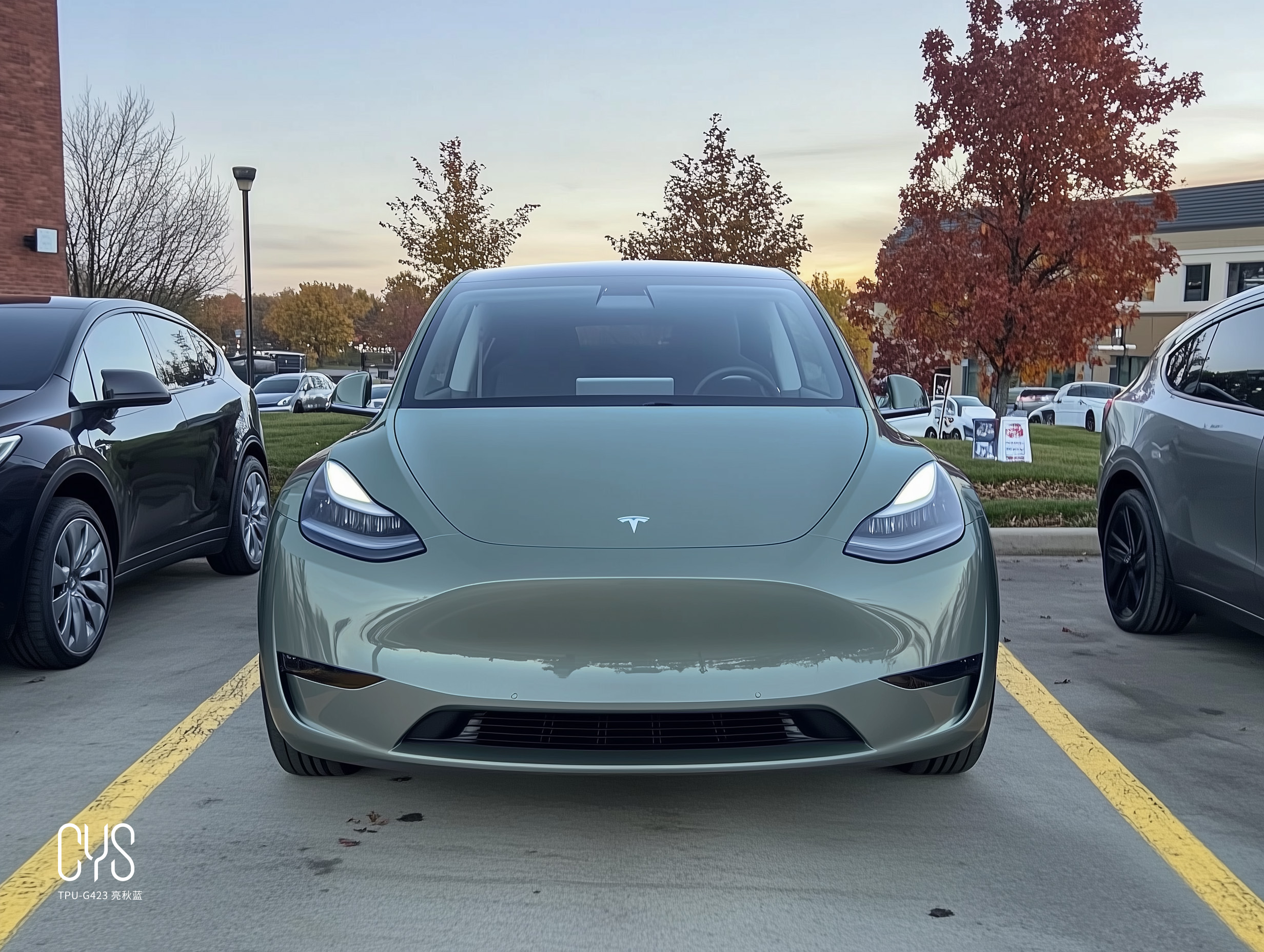 TPU-G423 亮秋蓝|特斯拉Model y