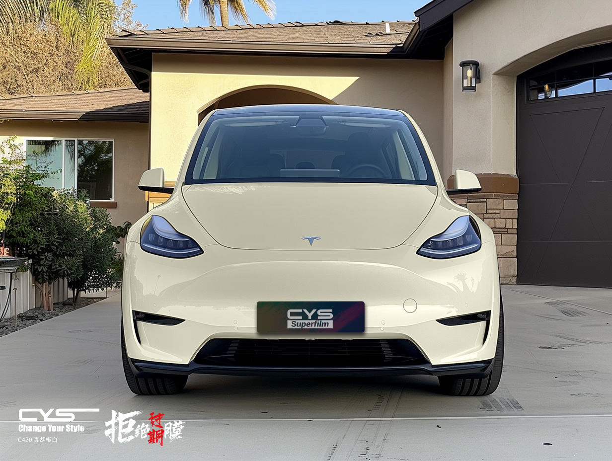 G420 亮胡椒白|特斯拉 model y