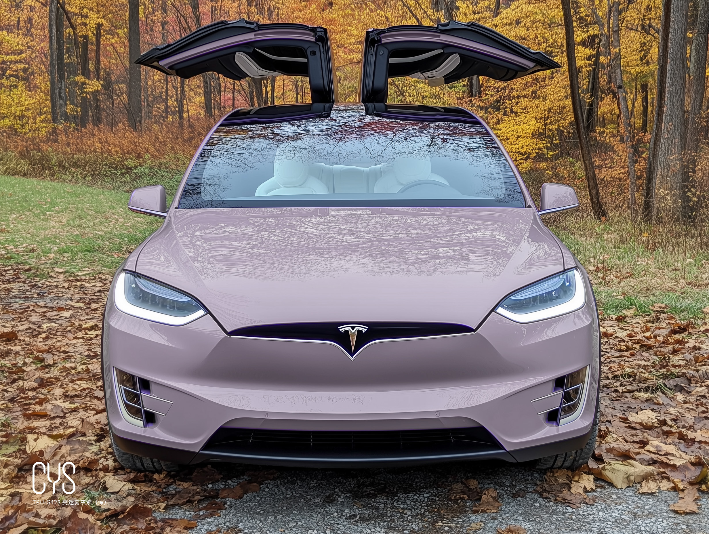 TPU-G428 亮迷雾灰紫（深）|特斯拉 Model x