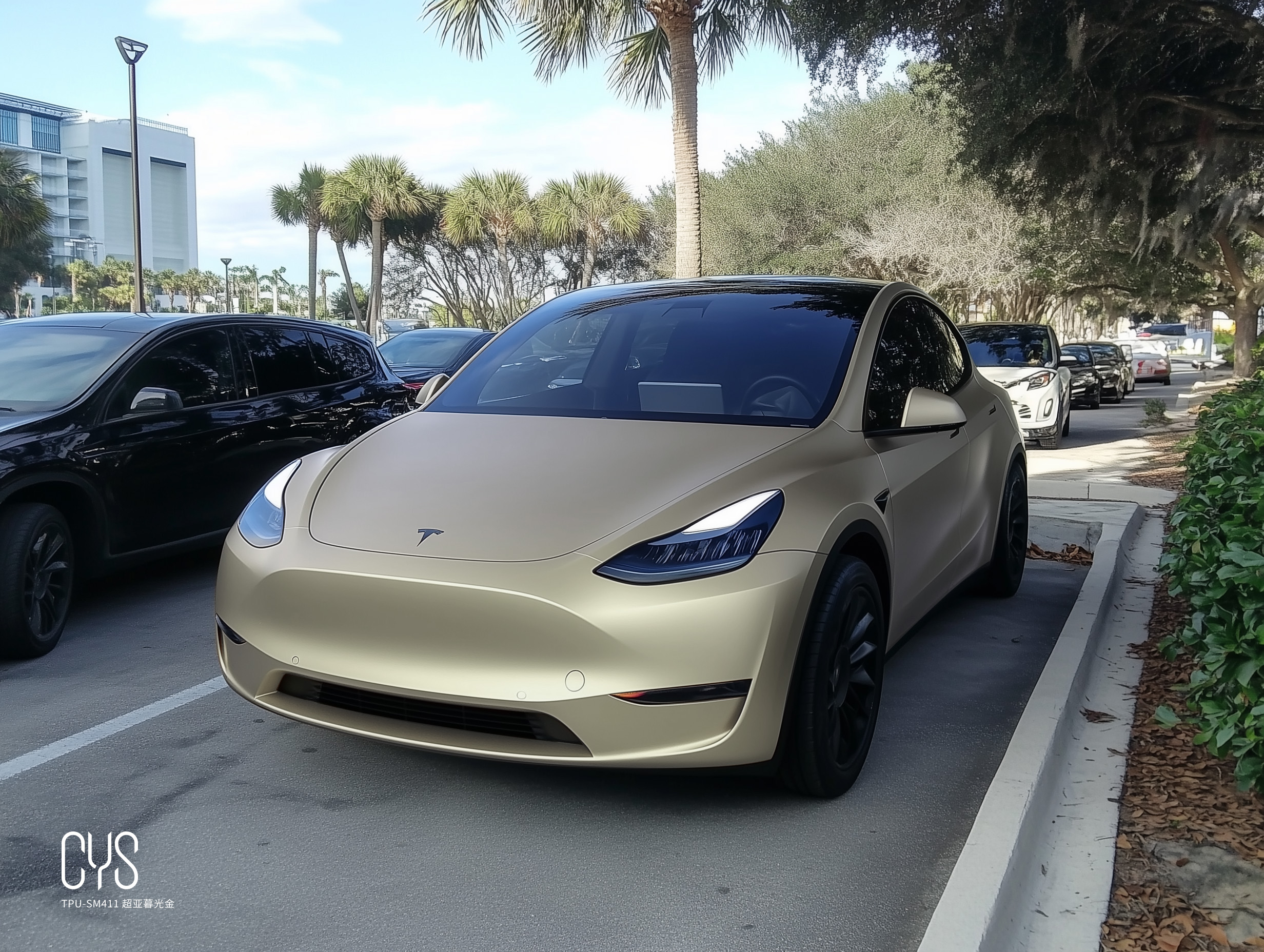 TPU-SM411 超亚暮光金|特斯拉 model y