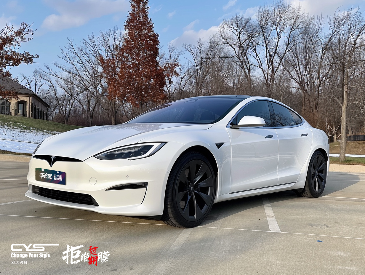 G210 亮白|特斯拉Model S