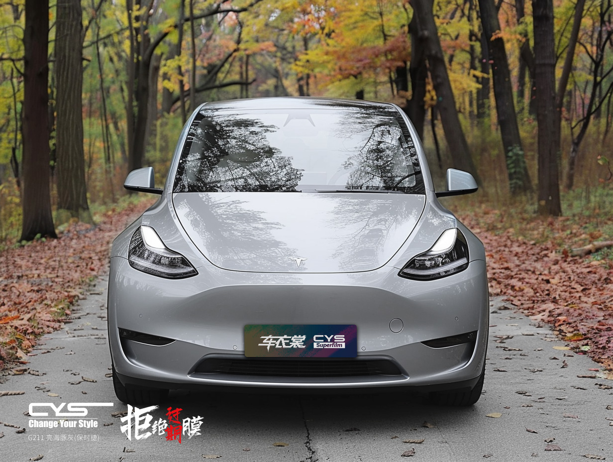 G211 亮海豚灰(保时捷)|特斯拉 model y